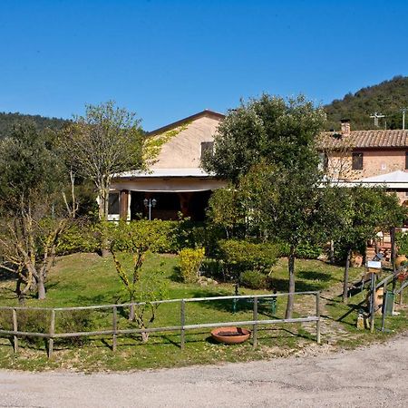 Agriturismo Torre Burchio Bettona Exterior photo